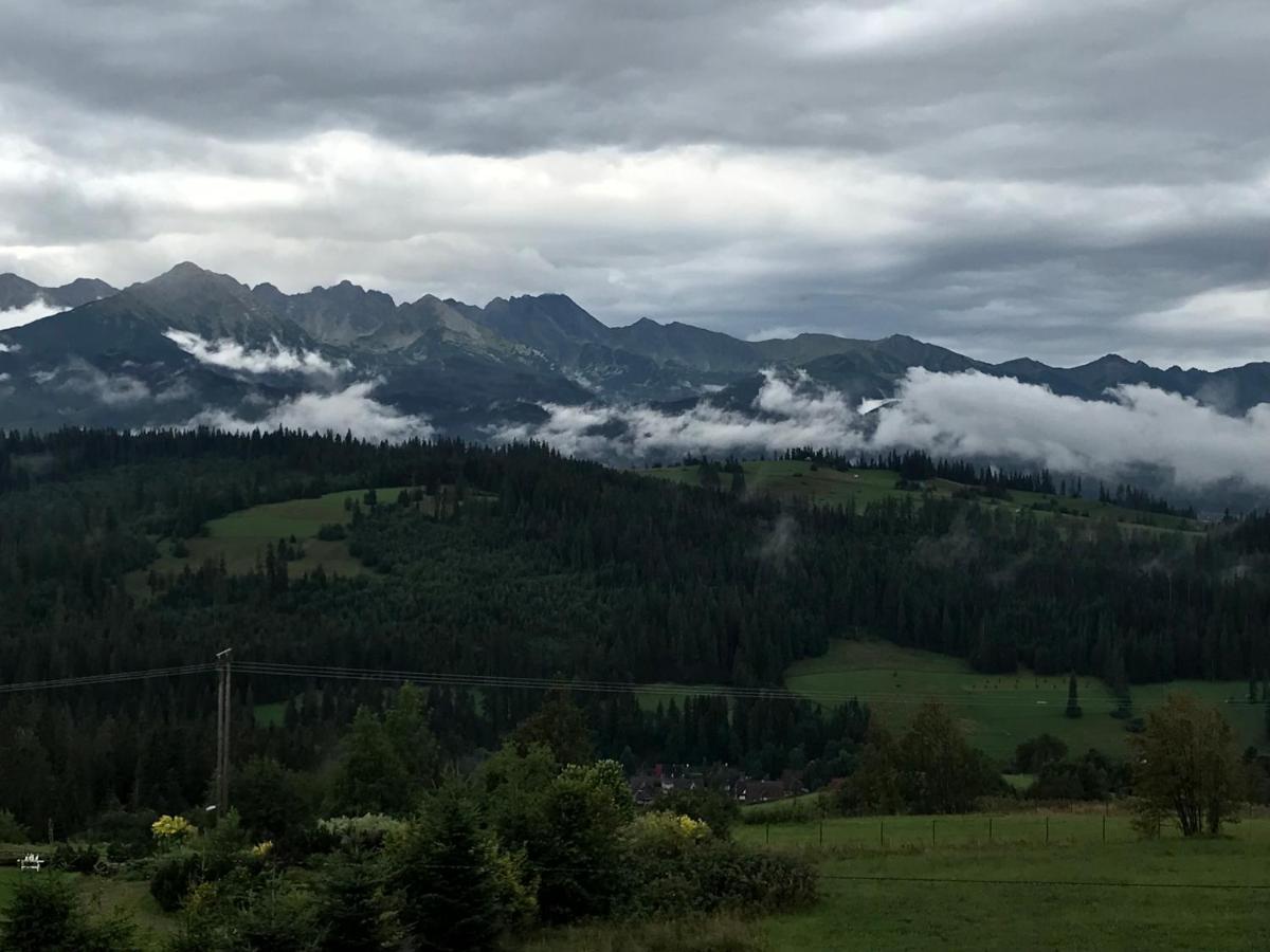 Pensjonat Sekuła*** Bukowina Tatrzanska Bagian luar foto